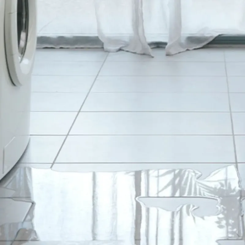 Appliance Leak Cleanup in Warren County, NC