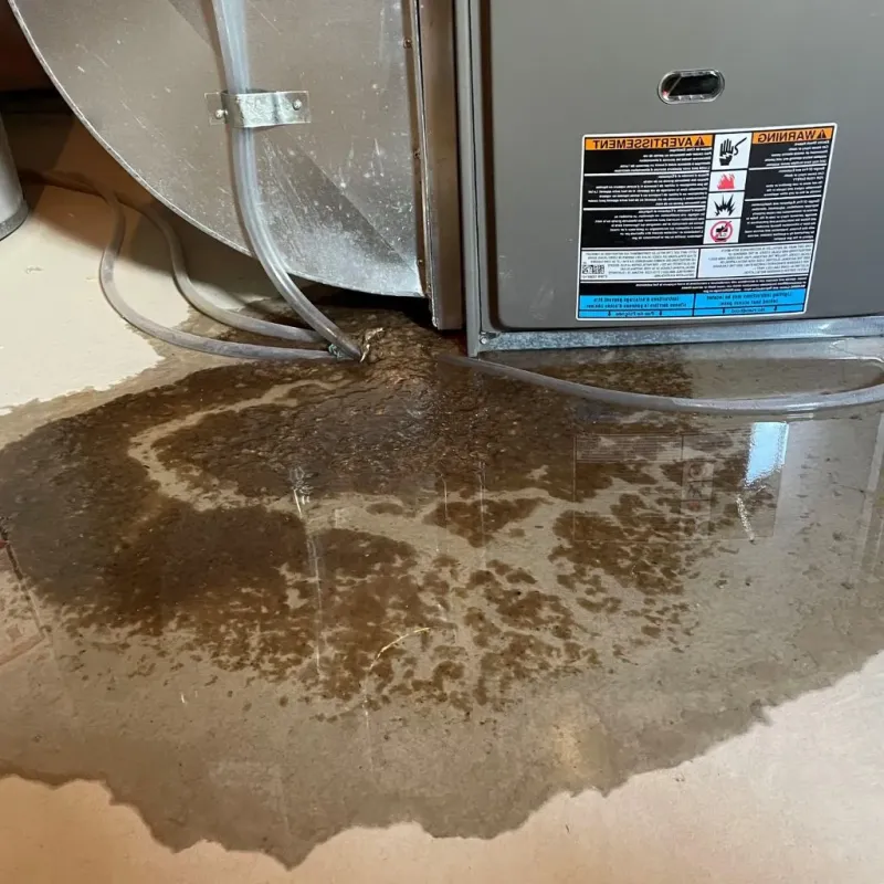 Pipe Burst and Leak Restoration in Warren County, NC