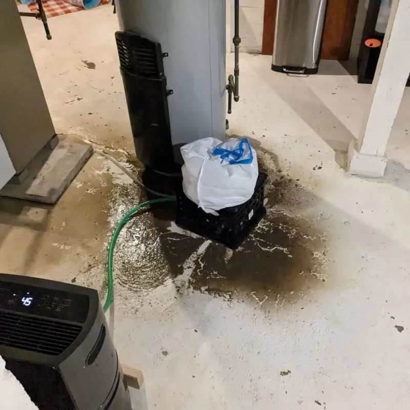 Sewage Backup Cleanup Service in Warren County, NC